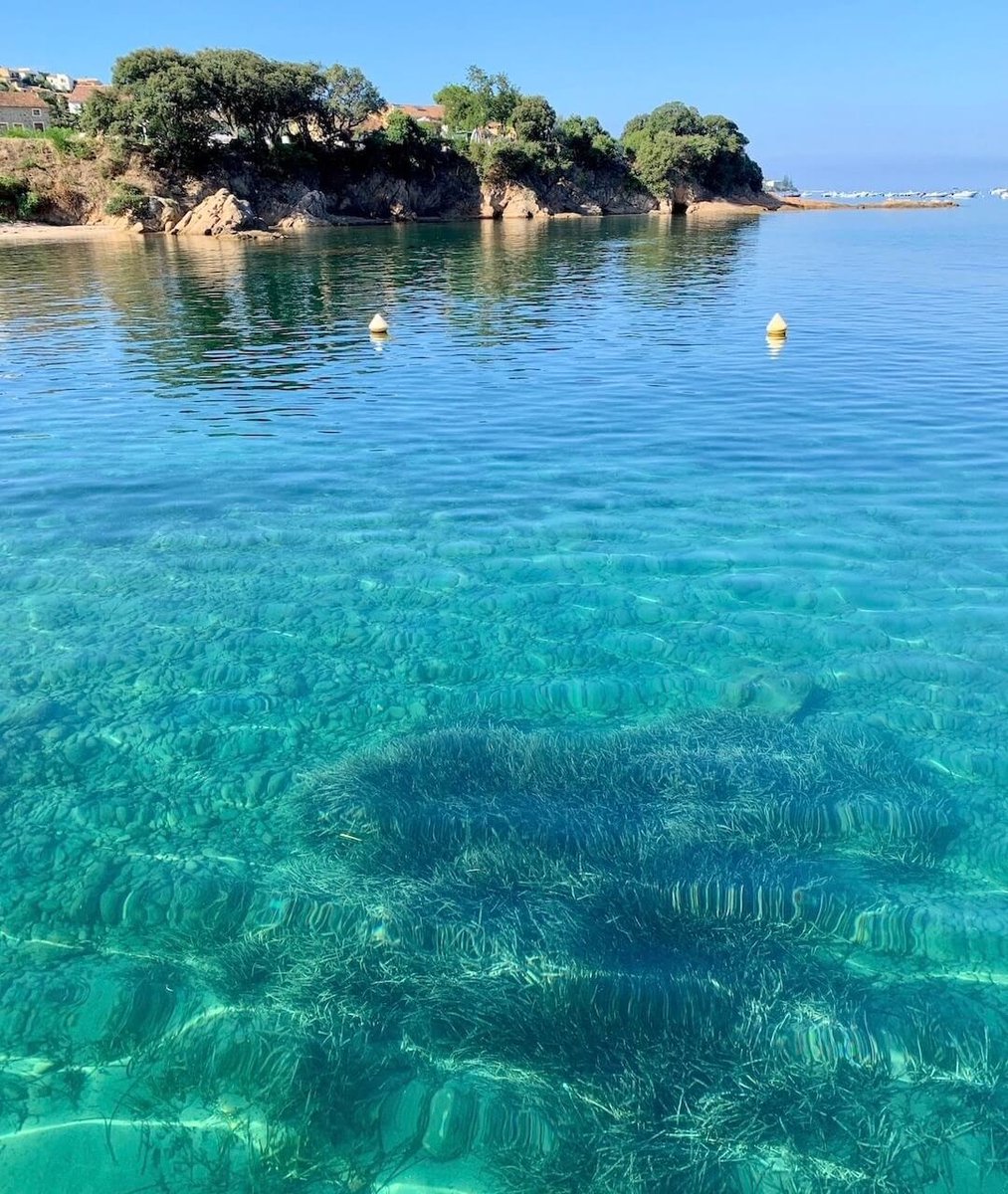 GhjuvanAndreani's tweet photo. À Porticcio https://t.co/9dl8tku29w