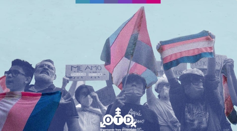 OTDChile's tweet photo. Revisa la declaración de la Endocrine Society de EE.UU.
@TheEndoSociety sobre el uso de bloqueadores en infancias trans y la importancia de no prohibir el acceso a cuidados de salud.
@Soched_cl @Sochepi @colmedchile @ChileMatrones 
@defensorianinez 
https://t.co/FIQeLAa8dZ https://t.co/FhMtAghEXM