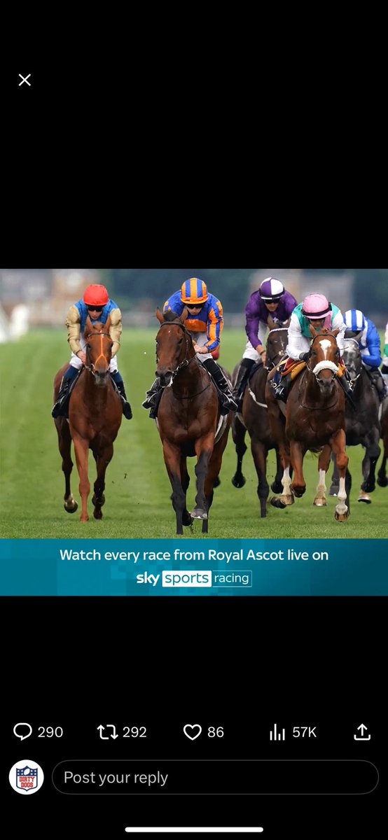 DogsNfl's tweet photo. @AtTheRaces https://t.co/27AZZJyBQn