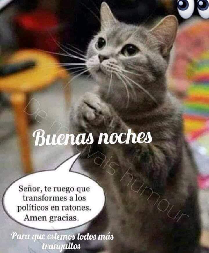Jose talero (@hiis60824804) on Twitter photo 