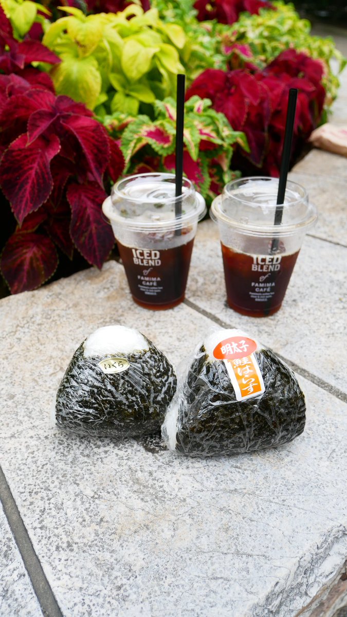 Onigiri time at the park 🍙!!