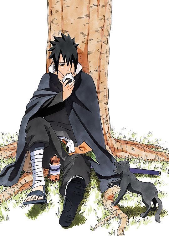 sasukeculture tweet picture