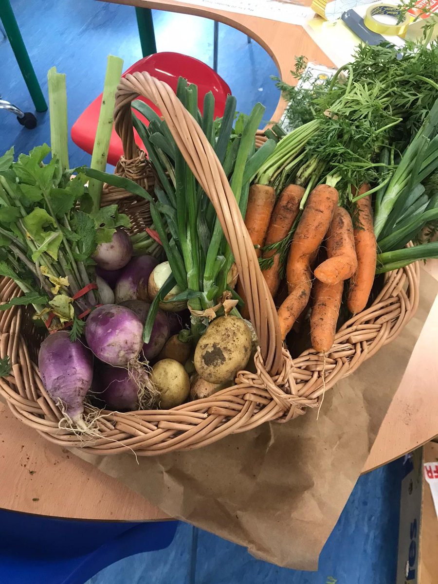 AgroforestForum's tweet photo. Amazing day at St Mary's Special School in Delvin! The class had a blast learning about agroforestry &amp; organic farming. The basket reveal, chat, and tree detective trail were a joy. Lovely conversations about baskets, grandparents, and farming.Thanks again James Lowry @BioBeo_EU https://t.co/6e61Fi4eFU