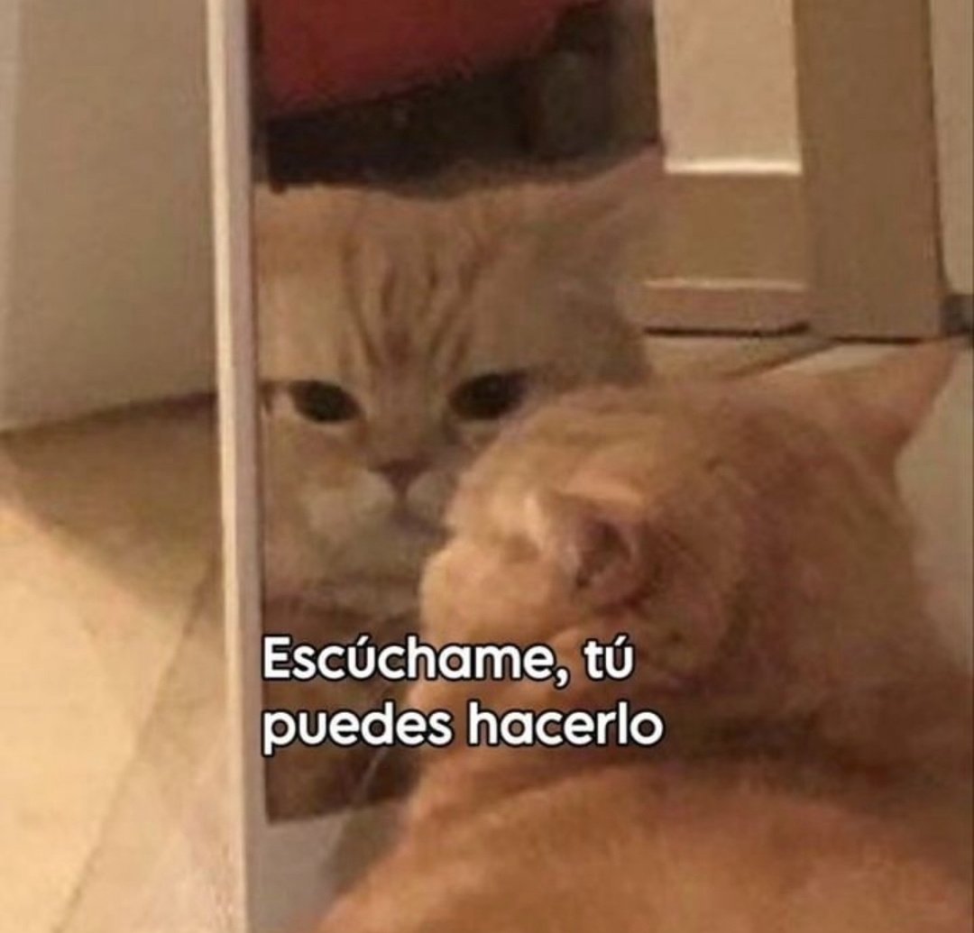 En_jupiter_'s tweet photo. Yo dándome apoyo emocional todos los días. https://t.co/vxSaS2X3Z7