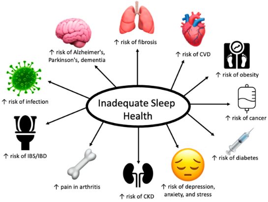 KristenJakobitz's tweet photo. Besides fighting the signs of aging, regular #sleep promotes mental alertness, helps keep stress levels in check, and so much more. Make sleep a priority for your #health. https://t.co/iDEgz5xqN4