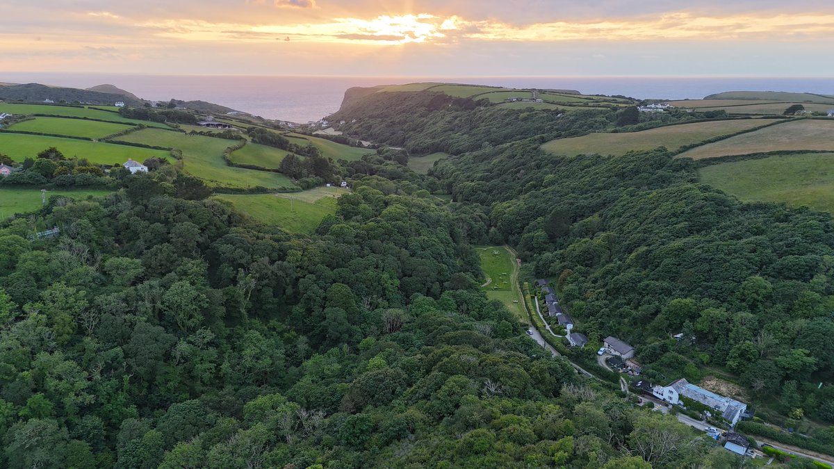 JoyWalkerDrones tweet media