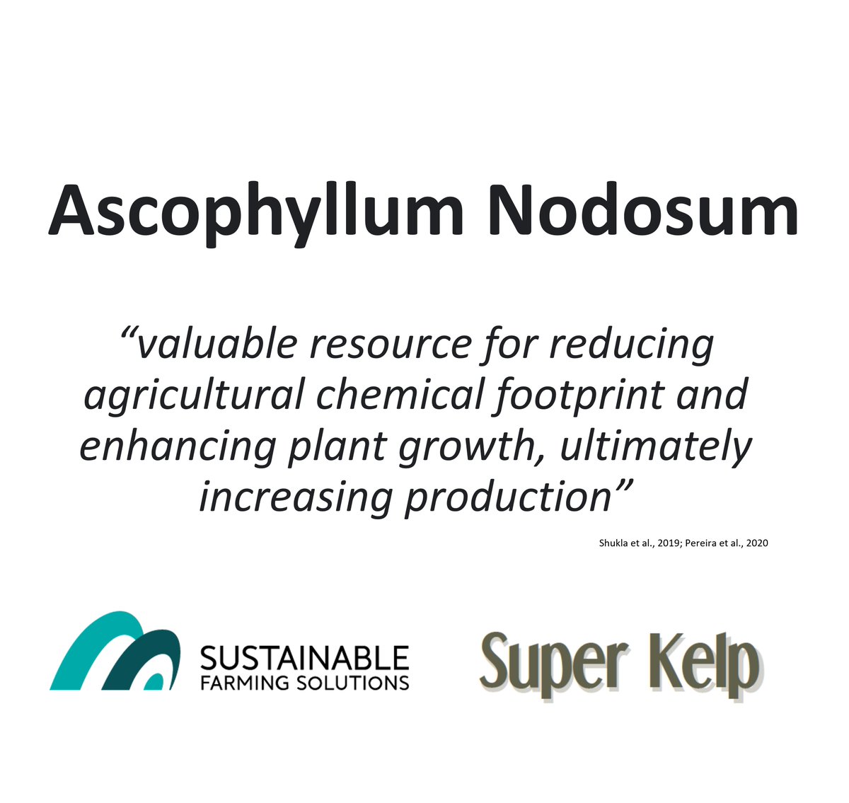 stevenjlorimer's tweet image. #Kelp is #bioactive. #nutrients, #aminoacids, #vitamins, #cytokinins, #auxins, #betaines, #alginates, #sterols &amp;amp; #abscisic acid tweaks #plants, for +ve #growth and #yield.

#cytokinins &amp;amp; #betaines in #seaweed act as #antifreeze &amp;amp; #research shows winter hardening in #plants.