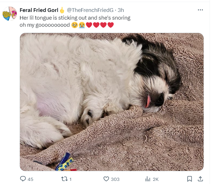 The Haydur-Tater 🇨🇦 tweet media
