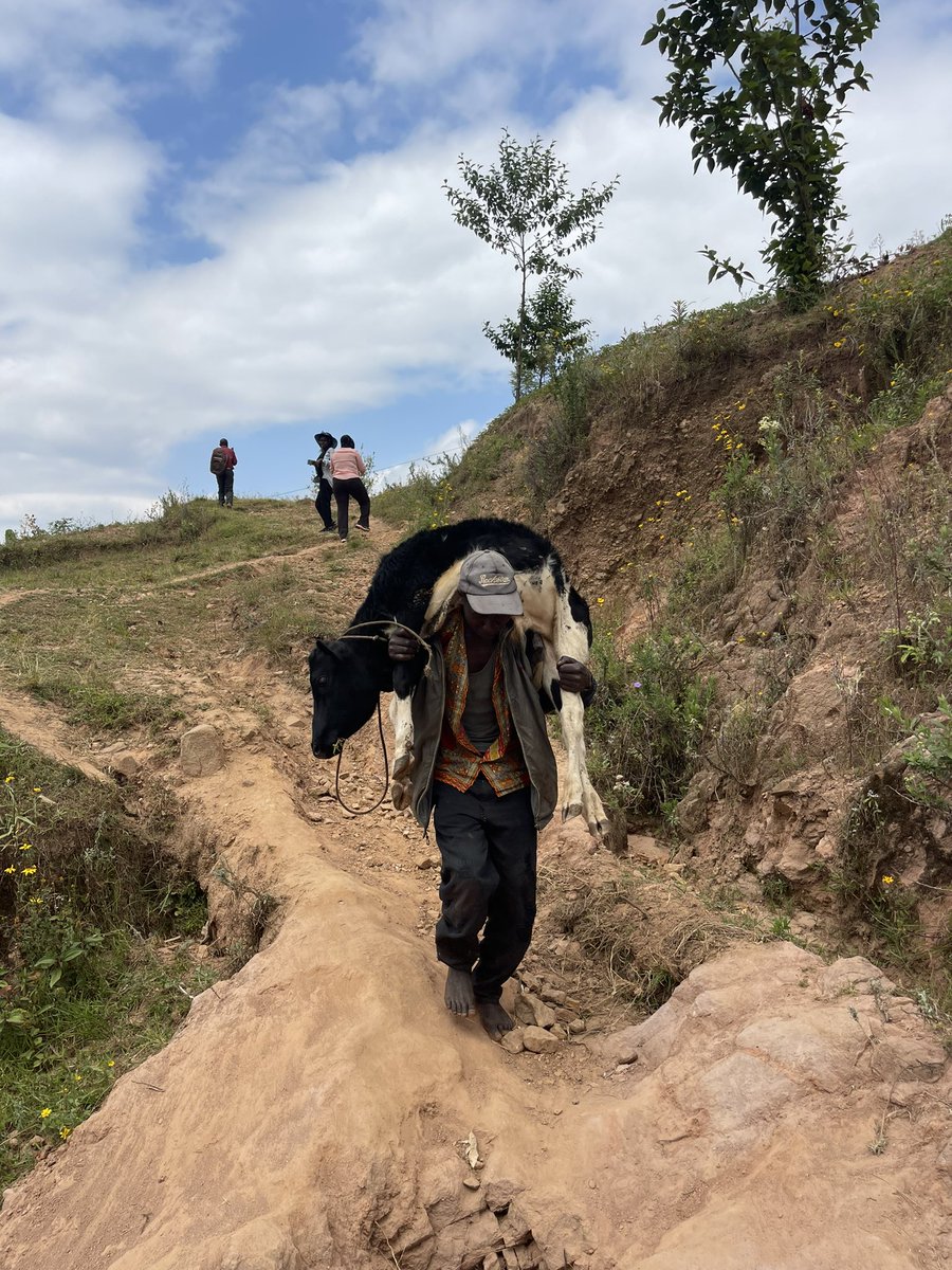 Agro Behavior Change LTD tweet media