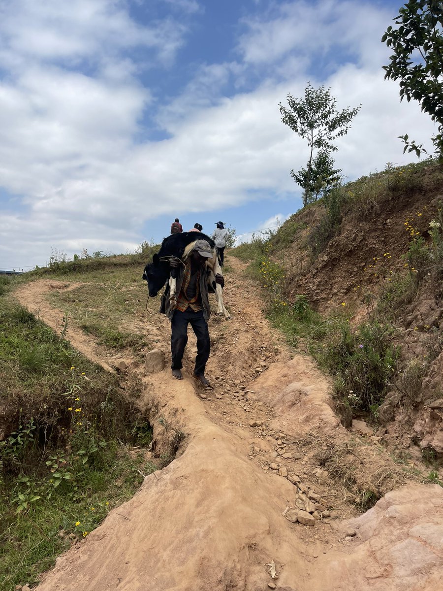 Agro Behavior Change LTD tweet media