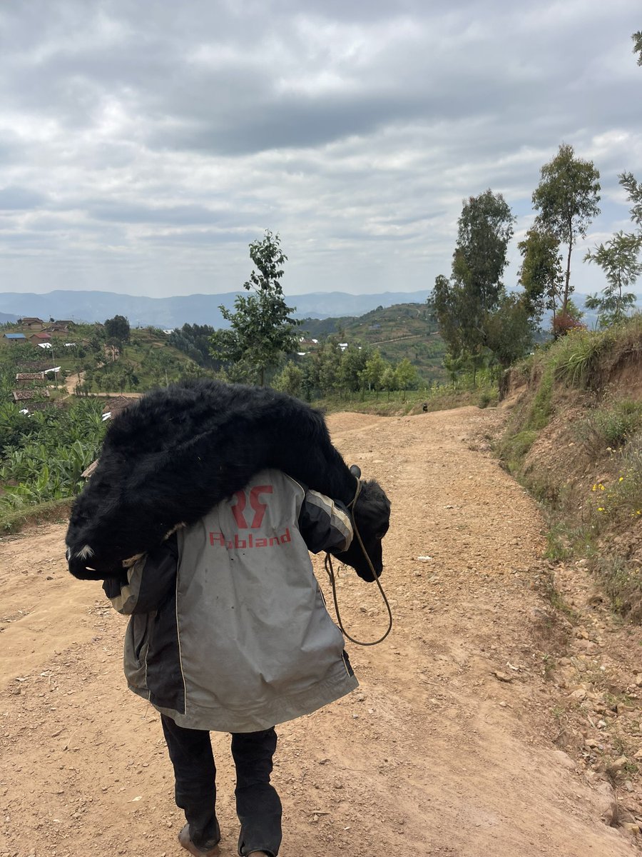 Agro Behavior Change LTD tweet media