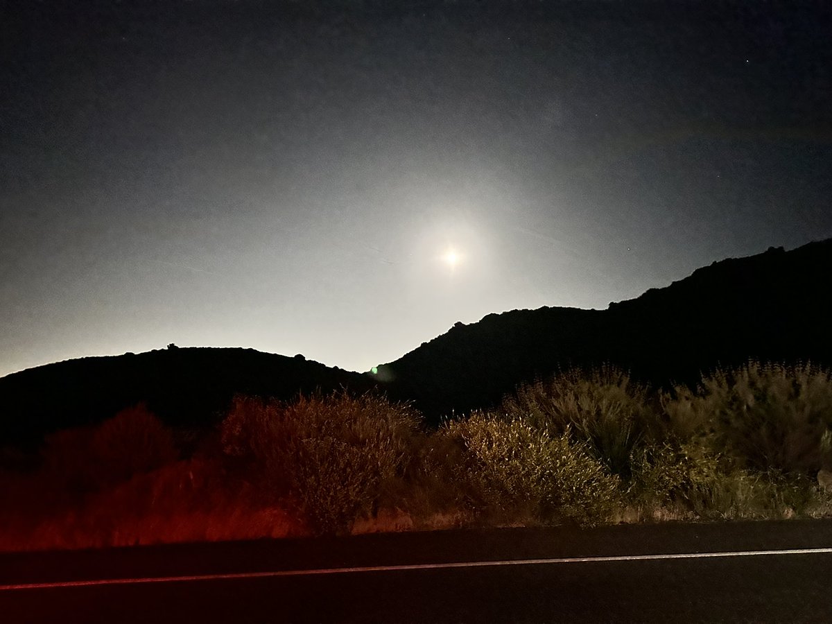 Night Drives are fun