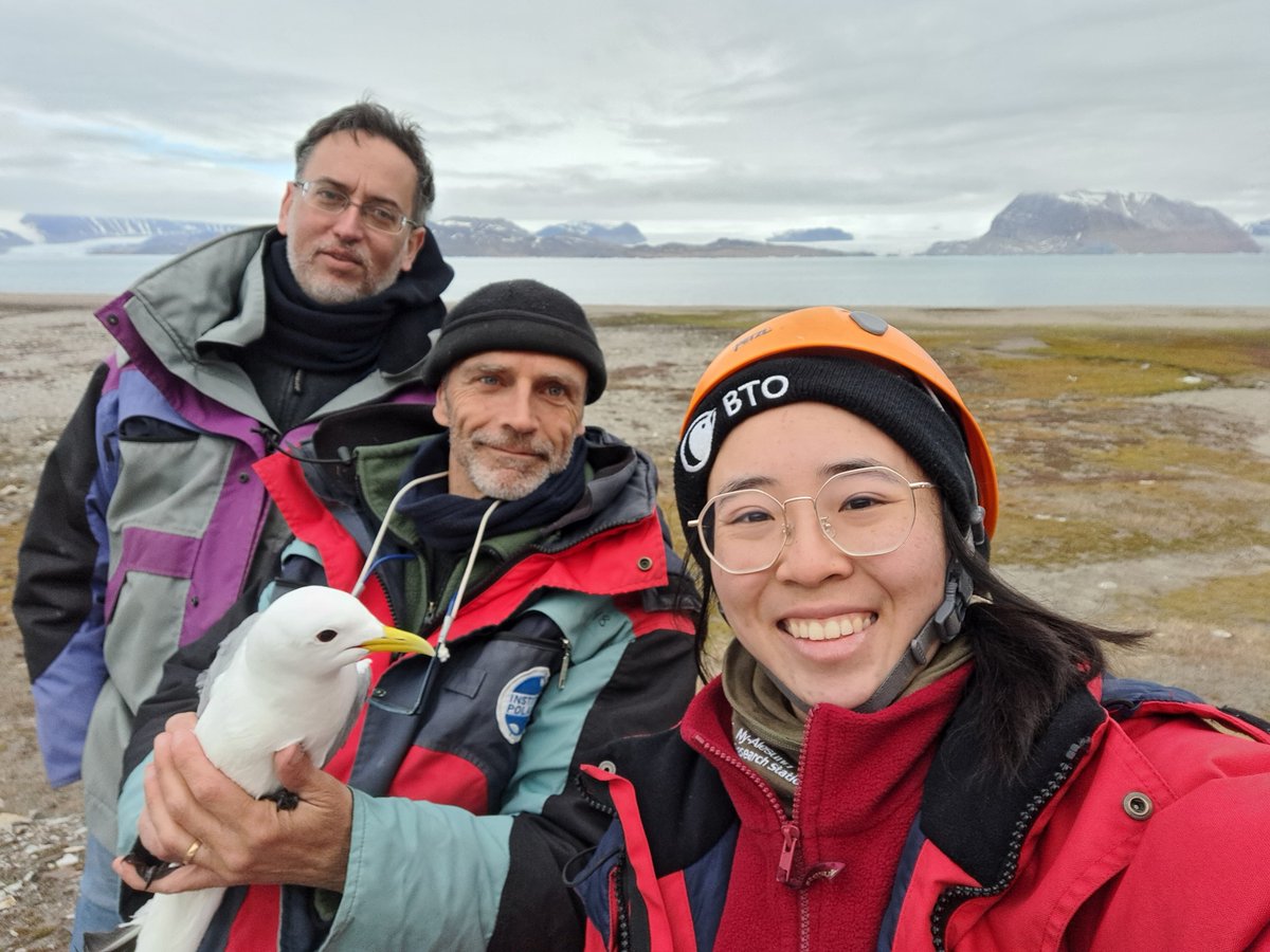 Ecophy (@ecophy_cebc) on Twitter photo We're there! Field work for Svalbard kittiwakes has started!
Sampling for #PFAS & GLS deployment for <a href="/SeatrackScience/">SEATRACK project</a> by Olivier Chastel <a href="/RderAbi/">Jingqi Liu (Corey)</a> <a href="/FAngelier/">Frédéric Angelier</a>
<a href="/CEBC_ChizeLab/">CEBC/ChizéLab</a> <a href="/CNRSecologie/">CNRS Écologie & Environnement</a> <a href="/UnivLaRochelle/">La Rochelle Université</a> @_IPEV We're there! Field work for Svalbard kittiwakes has started!
Sampling for #PFAS & GLS deployment for <a href="/SeatrackScience/">SEATRACK project</a> by Olivier Chastel <a href="/RderAbi/">Jingqi Liu (Corey)</a> <a href="/FAngelier/">Frédéric Angelier</a>
<a href="/CEBC_ChizeLab/">CEBC/ChizéLab</a> <a href="/CNRSecologie/">CNRS Écologie & Environnement</a> <a href="/UnivLaRochelle/">La Rochelle Université</a> @_IPEV