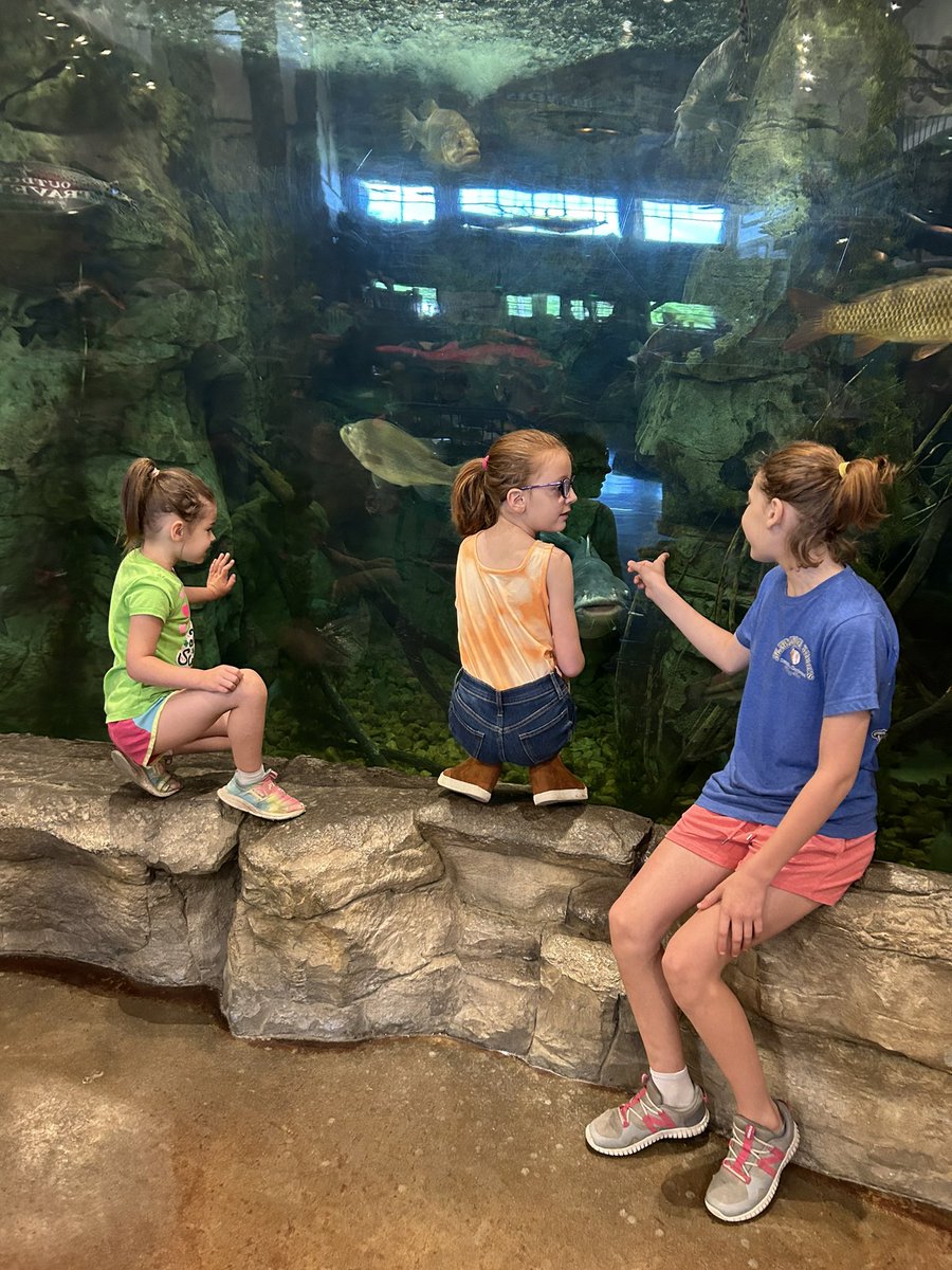 TDTony's tweet photo. The Summer of Adventure is so busy! And Day 5 didn’t disappoint. Spent all day on the river, at Bass Pro and grilling in the backyard. 

Your kids want to be outside doing things with you! https://t.co/C95Km3im6G