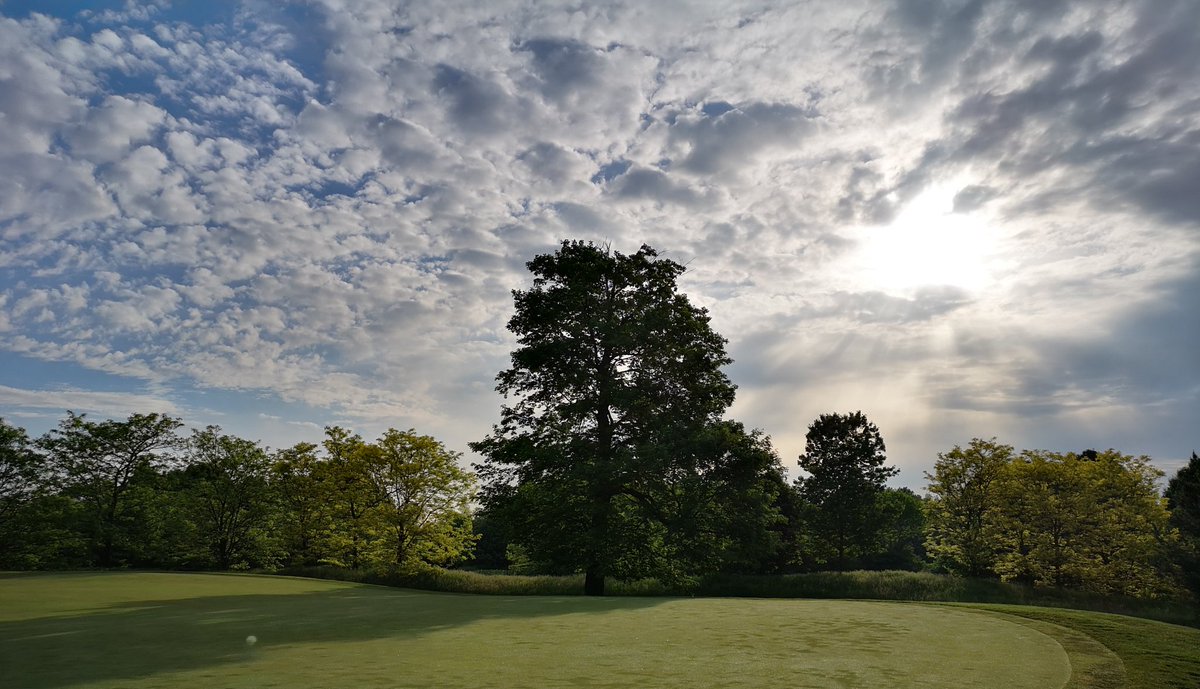 Luke Paddle tweet media