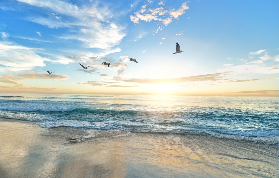 How to Successfully Fail in Hollywood (Funny Film) tweet media