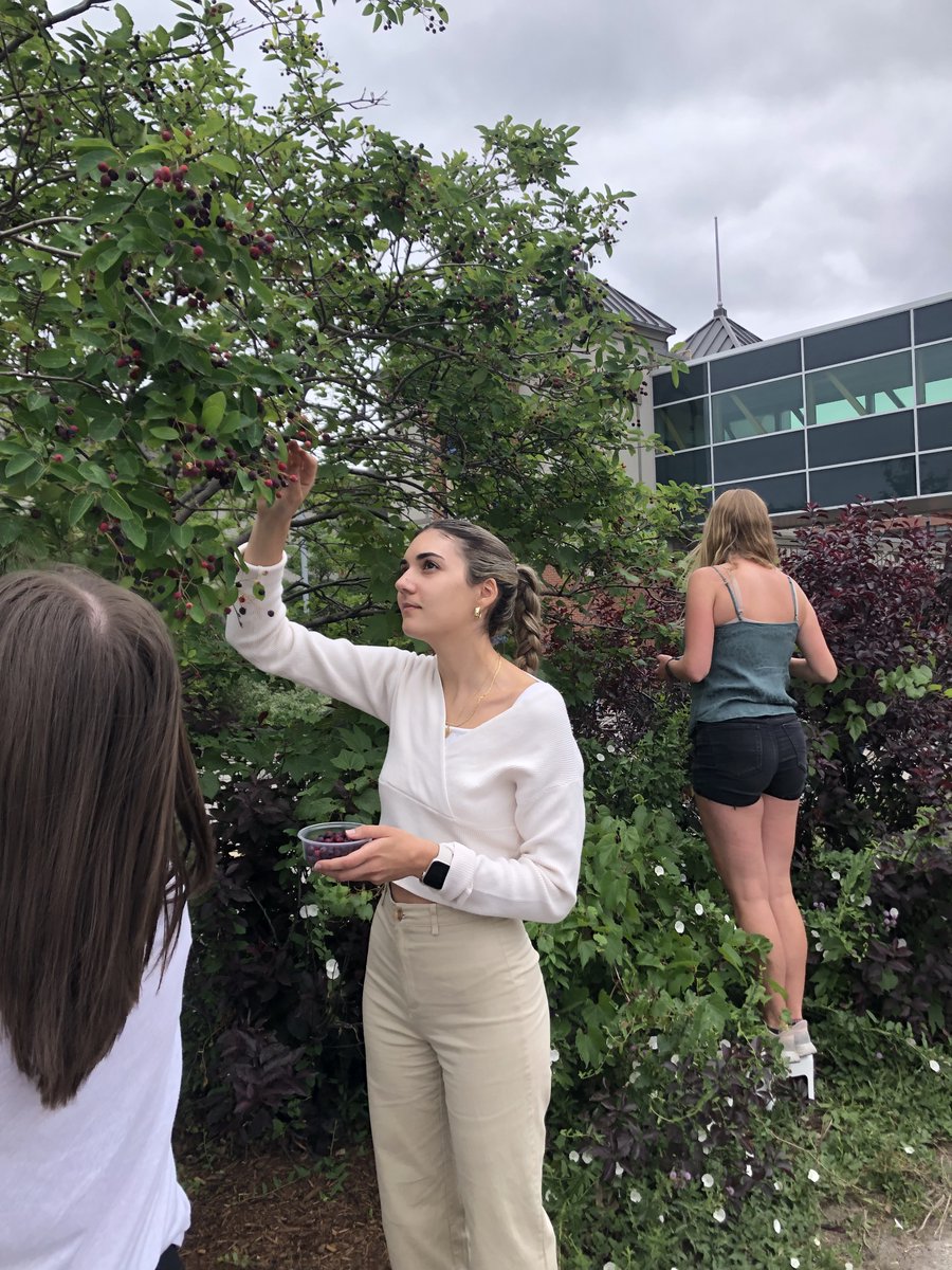 Growing Chefs! ON tweet media