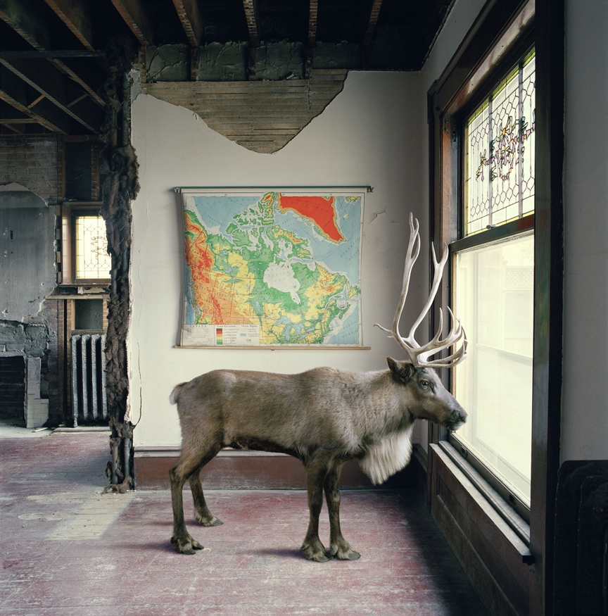 artinteriors tweet media