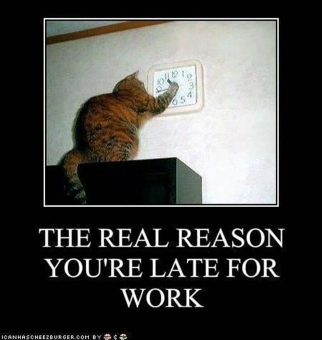 but75455972's tweet image. **Public Service Announcement for #hoomans with #kittehs**

#Caturday