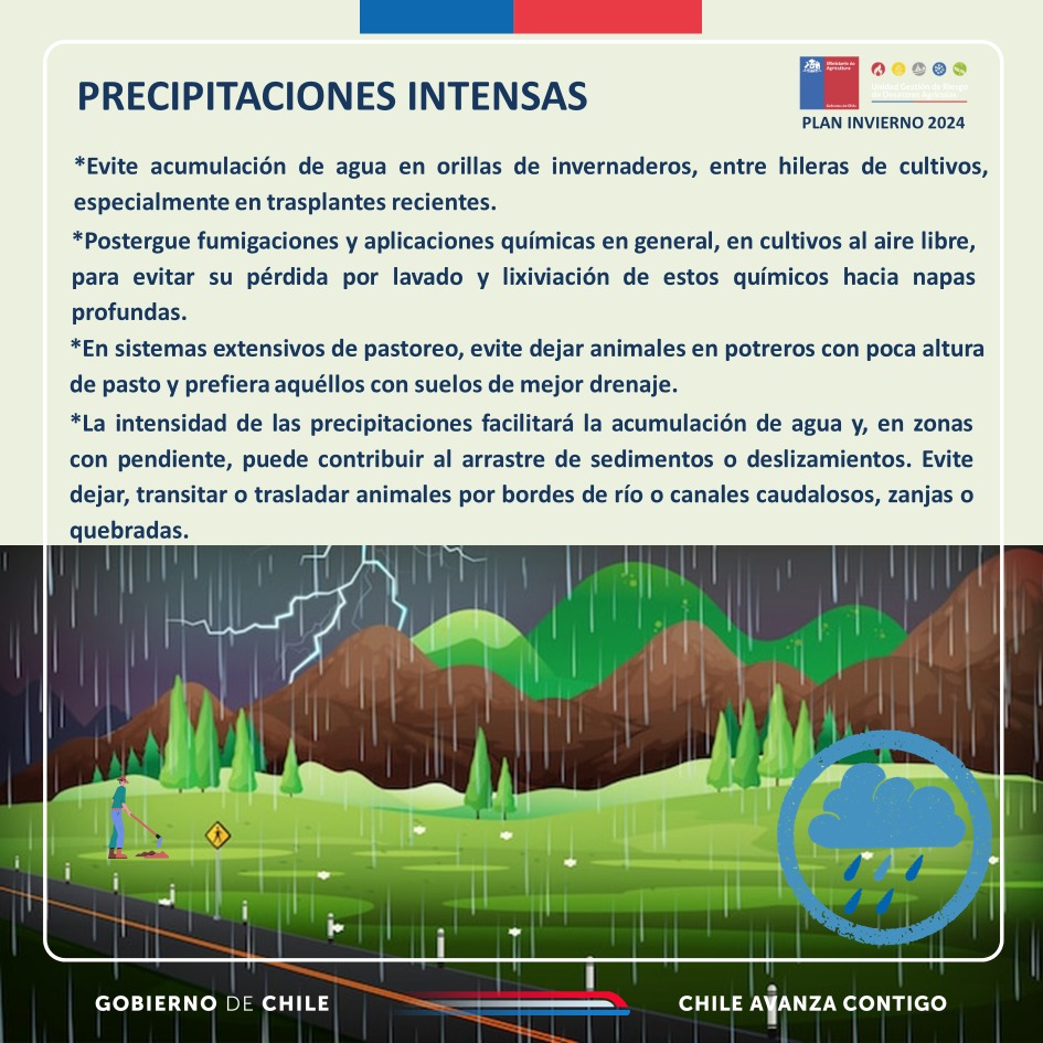 conaf_maule's tweet photo. Ante el frente climático que se avecina, te compartimos algunas recomendaciones que podrían salvar vidas. 
@conaf_minagri @DPRMaule @Senapred @MinagriCL @MinagriMaule https://t.co/lnkkeM997l