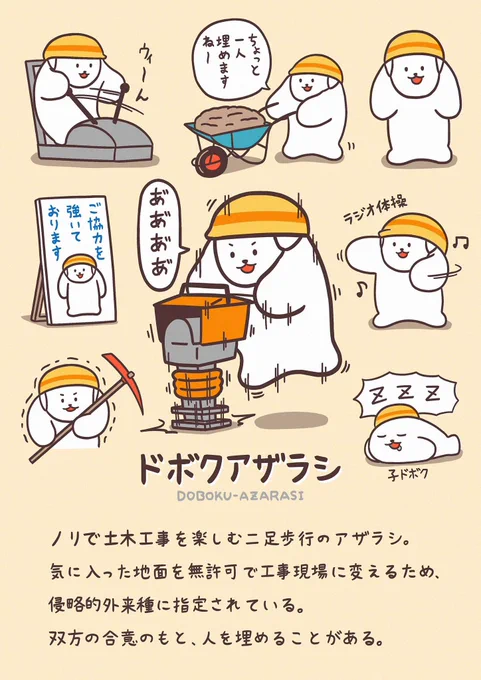 土木のアザラシ、ドボクアザラシ🦭 