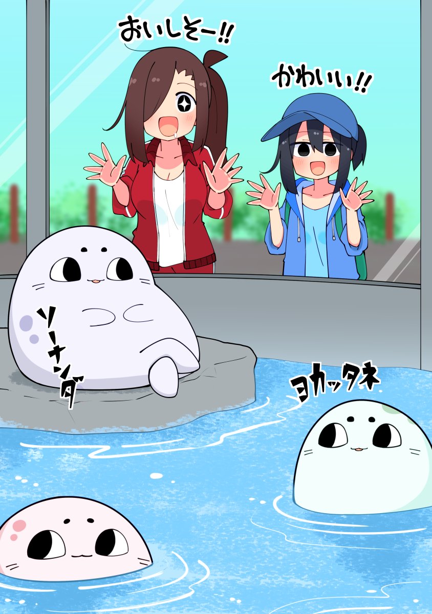 ヒトゴトアザラシを見るリュウさん&アオイちゃん 