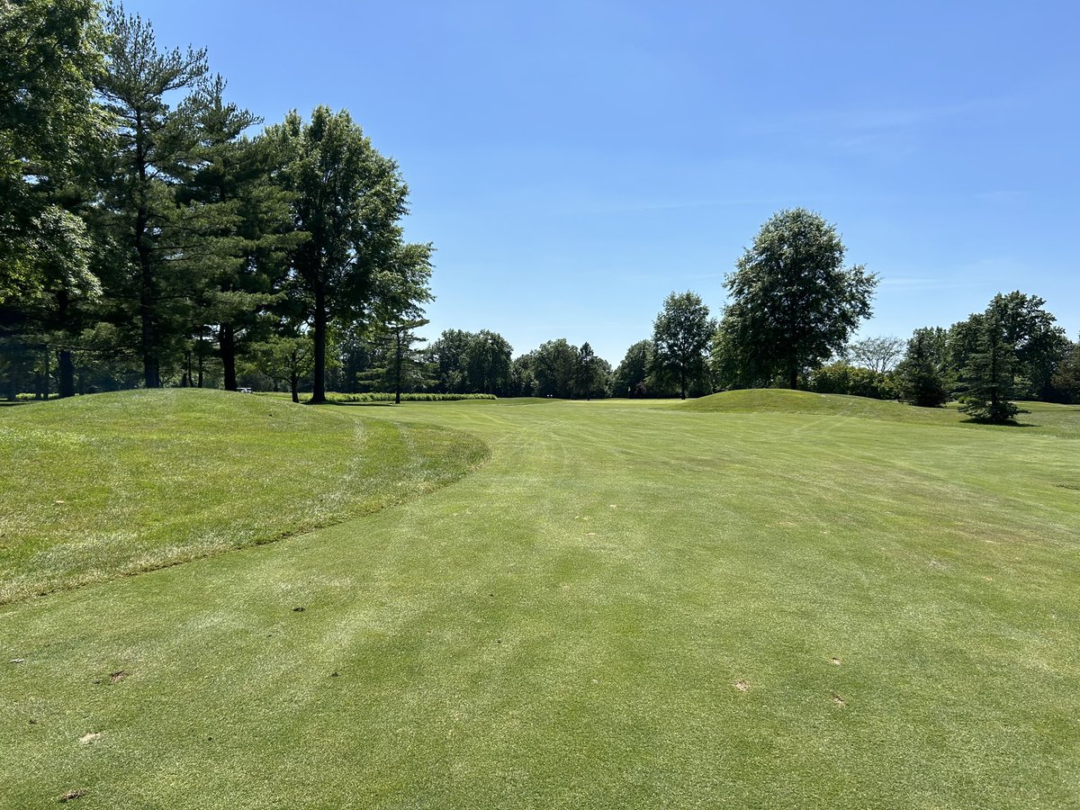 Nathan Gidley tweet media