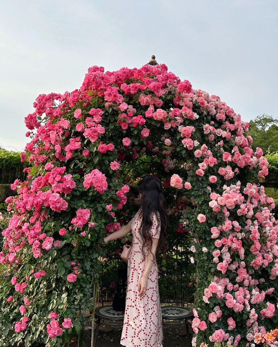 FSTokyo's tweet image. West of Tokyo in Chofu, Jindai Botanical Gardens are renowned for their rose festival, held each spring and autumn. Reach out to Keigo and our Concierge team for more insight into the must-visit places in Tokyo around this time!

Photo by bit.ly/4aNDCBo

#FSTokyo