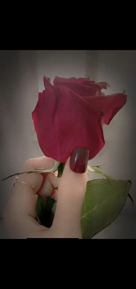 SR032950's tweet photo. صباح الورد https://t.co/Nx51JDDjN7