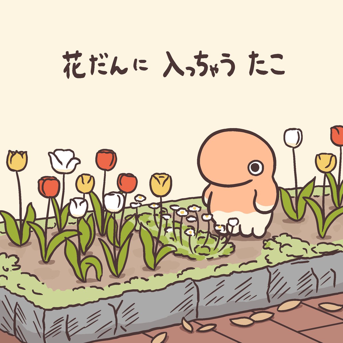 「たこ」もよろしくお願いします 
