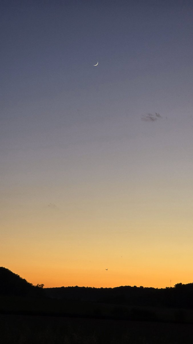 mvinge's tweet image. Tiny moon 🌙 
Tiny cloud ☁️ 
Tiny bird 🐦 
Sunset 🌇