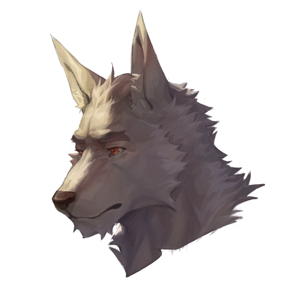 泡水当归 (@psdanggui) on Twitter photo 