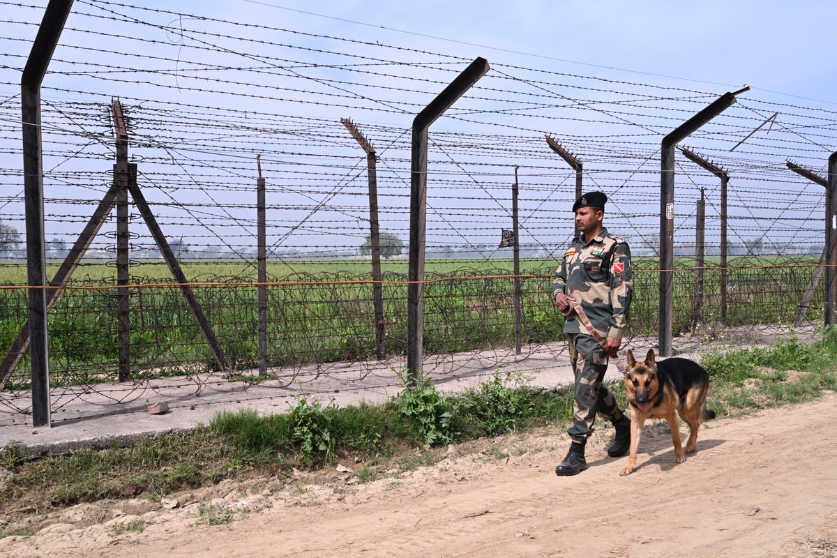 BSF tweet media