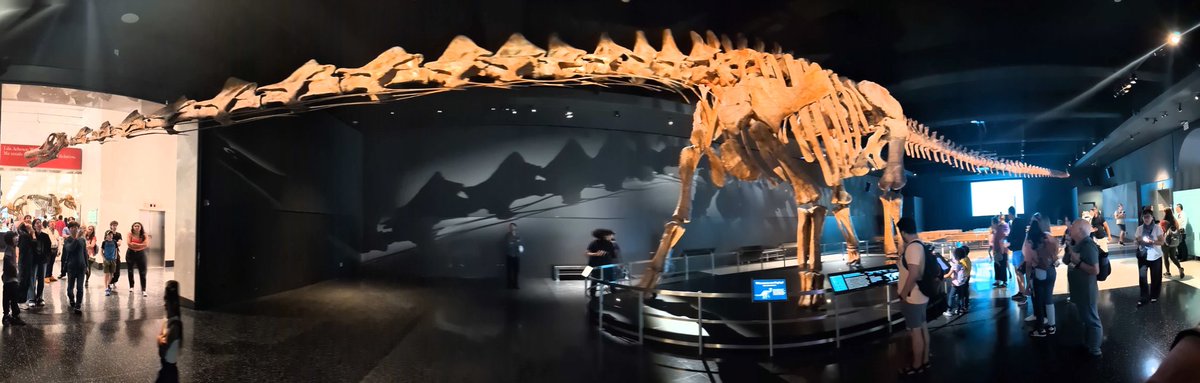 My body hurts. But DINOSAURS. 

<a href="/Witdarkstar/">Patrick Wren</a> is cool, too.