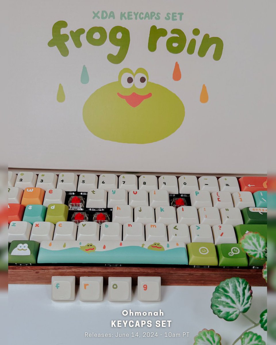 ohmonah's tweet photo. coming soon: 6/14/24- 10am pt

Frog Rain keycaps 🐸🌧️
These have been my keycaps for the past few months and they brighten up my desk so much  ;w;  <3 https://t.co/zEVinGjcUL