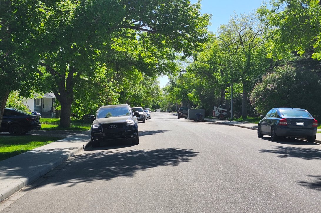 WalkingCalgary's tweet image. Today we made our second venture into #Highwood  

mapmywalk.com/workout/798590…

The mature trees along most of the streets in Highwood are just incredible

I just love the older neighbourhoods in the summertime.  They have so much character compared to newer areas. 

#Calgary  #yyc