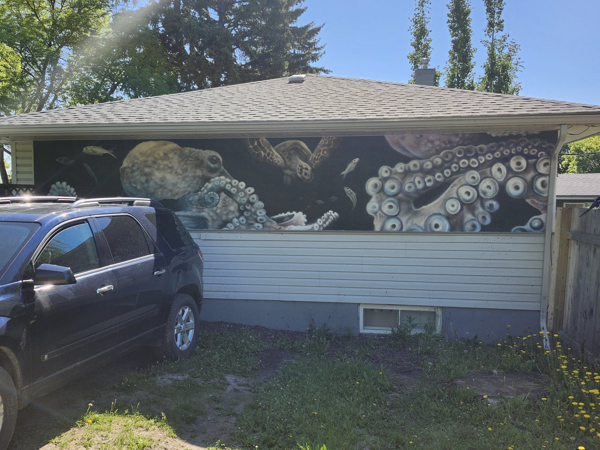 WalkingCalgary's tweet image. Today we made our second venture into #Highwood  

mapmywalk.com/workout/798590…

The mature trees along most of the streets in Highwood are just incredible

I just love the older neighbourhoods in the summertime.  They have so much character compared to newer areas. 

#Calgary  #yyc