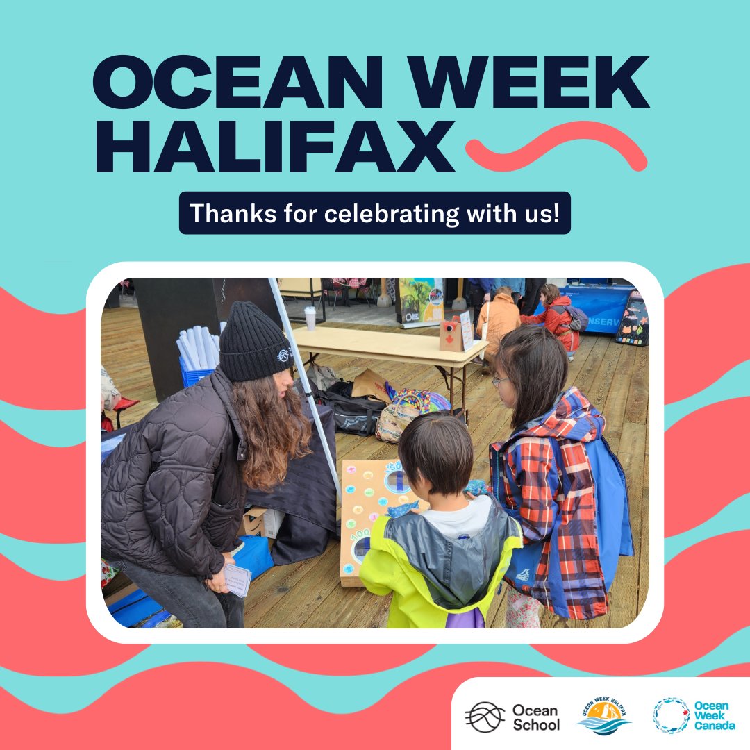 Ocean School 🐋 (@OceanSchoolNow) / Posts / X