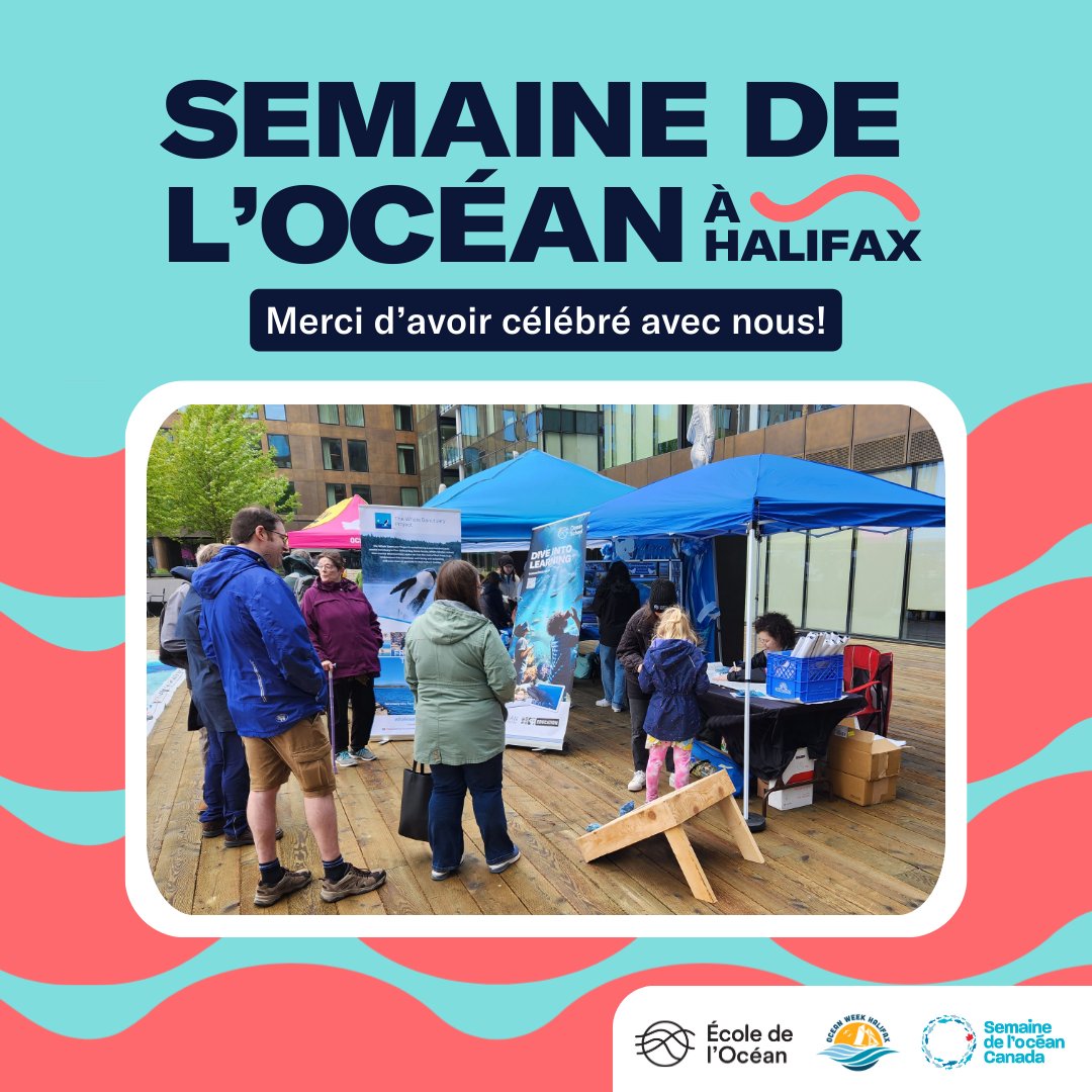 École de l’Océan 🐋 tweet media