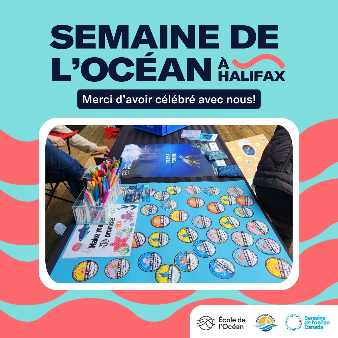École de l’Océan 🐋 tweet media