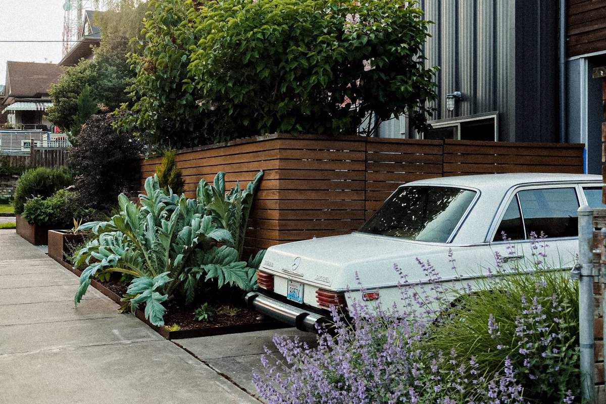 James Taylor tweet media