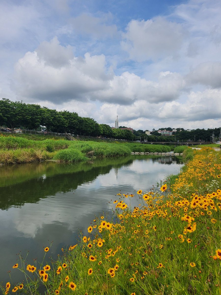 김종봉 tweet media