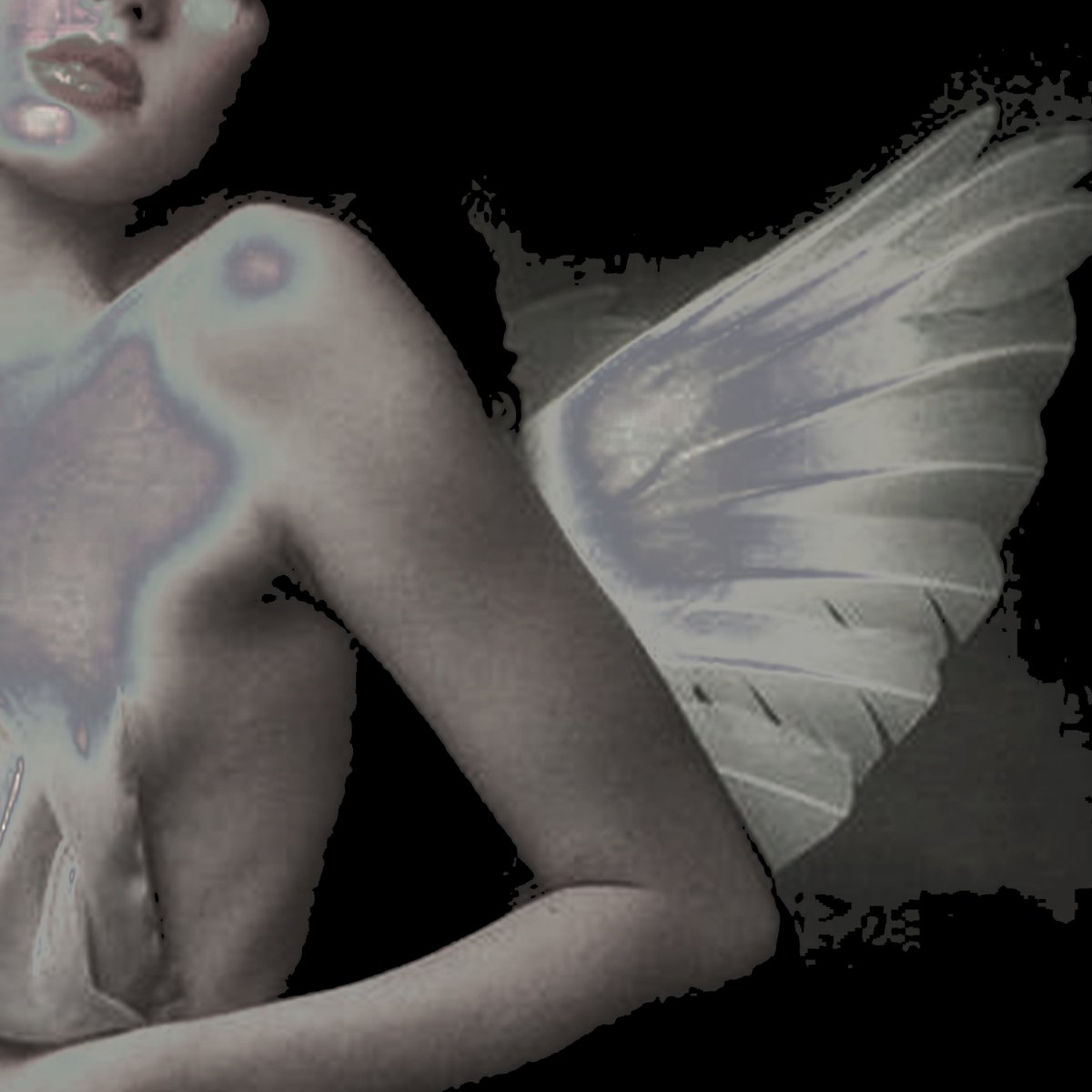 * 𝕬𝖓𝖉𝖗𝖔̂𝖒𝖊𝖉𝖆. tweet media