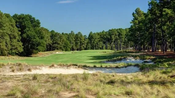 deepdivegolf's tweet photo. The #USOpen this week is held at Pinehurst No. 2
But, do you know how many golf holes in total there are at Pinehurst Resort & Country Club?!
There are TEN full 18-hole golf courses, a 9-hole short course, AND an 18 hole putting course π€―
#Pinehurst #PinehurstNo2 #USOpenGolf