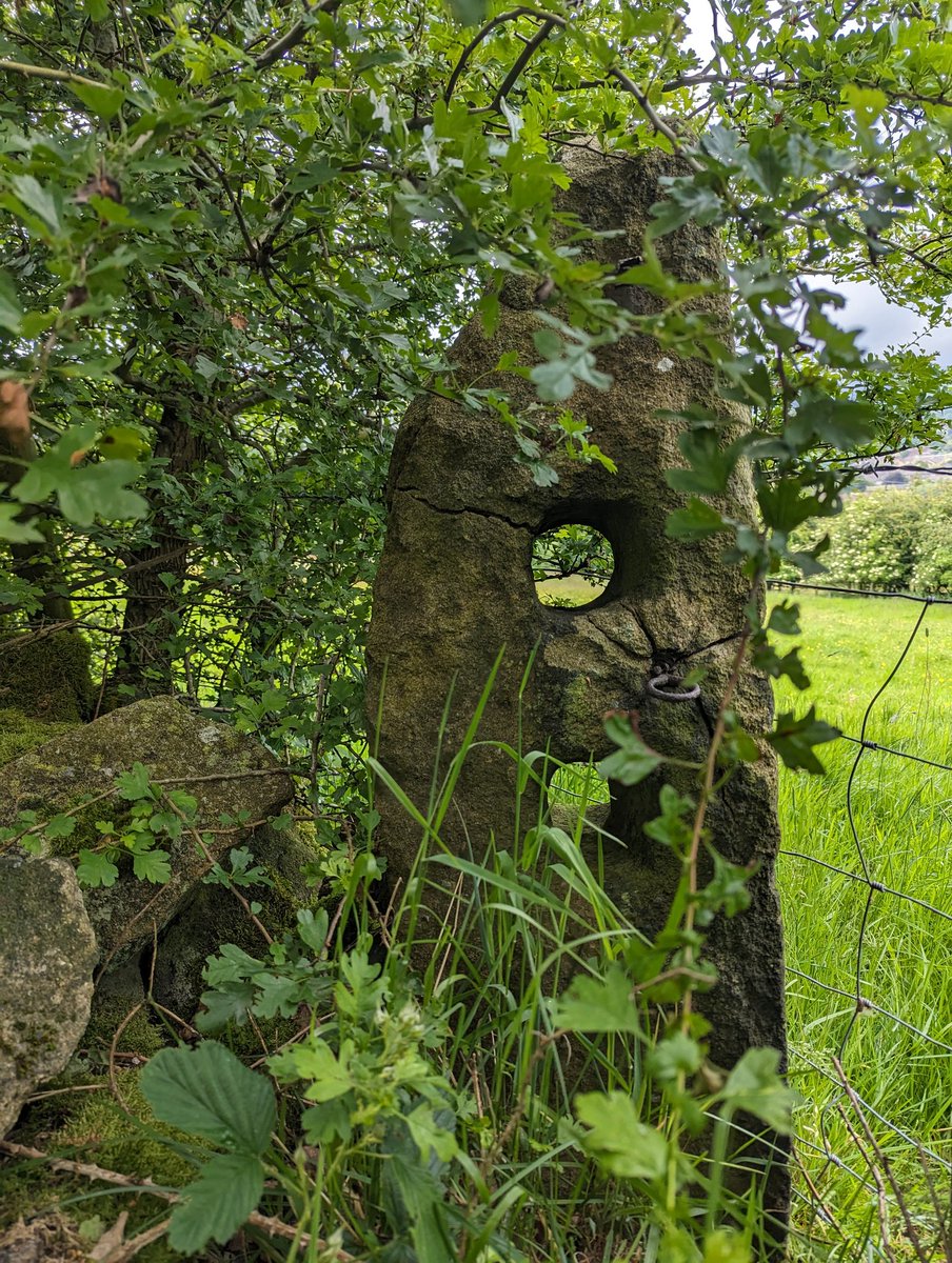 RobertHamnett's tweet photo. Wandering around, checking out a new Wander for Where/When #3. Lovely photos, some of which might make the zine. The archaeology of Glossop is so real & important, let's celebrate it. #archaeology #Derbyshire #WhereWhen https://t.co/jHTpjSI9lg