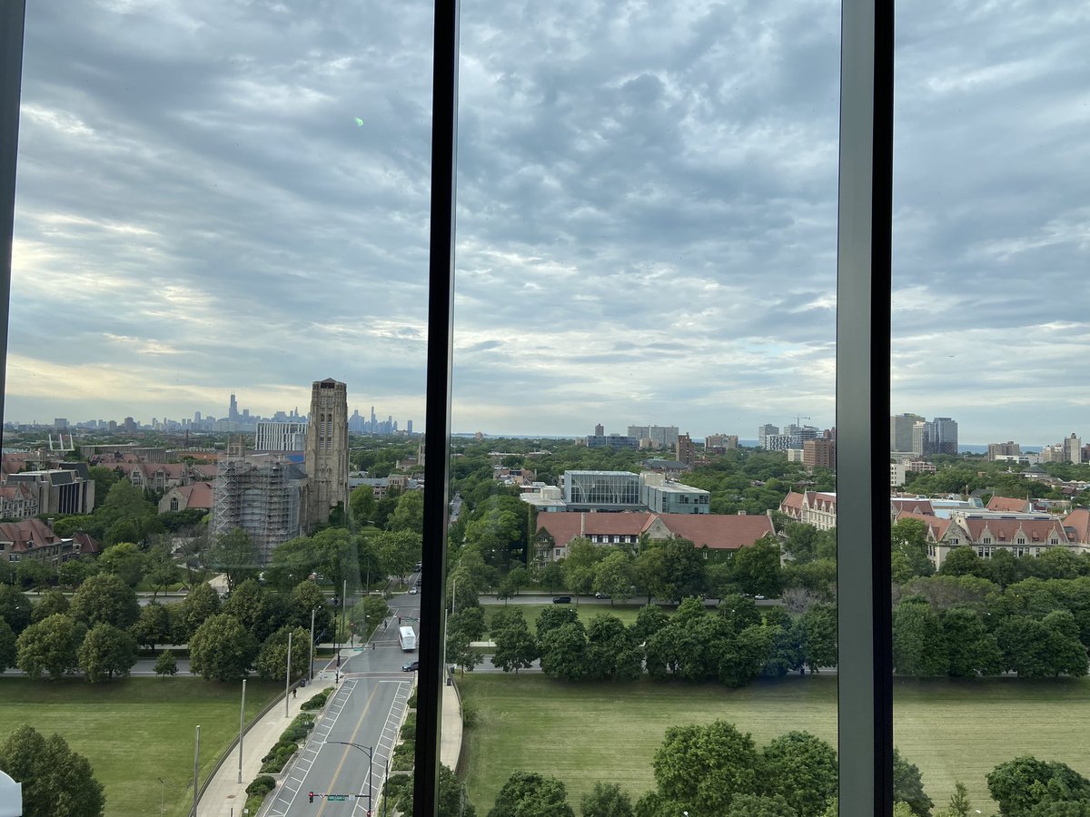 University of Chicago Pathology tweet media