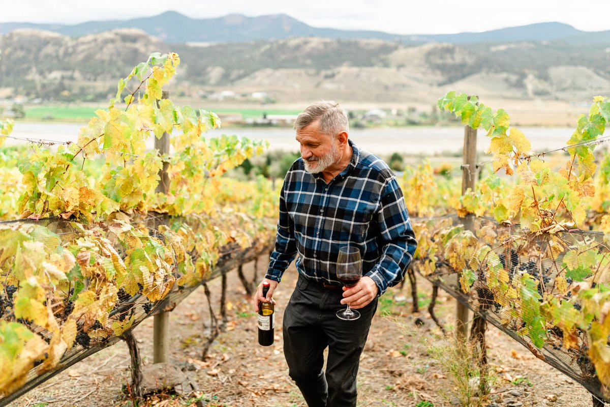 At <a href="/sagewood_winery/">Sagewood Winery</a>, sustainable wine growing is a promise that stretches from soil to shelf, including organic vineyard management, fostering biodiversity, water conservation, and soil enrichment practices. Cheers to sustainable sips! 🌱🍷 

 📸 Royce Sihlis | #KamloopsWineTrail
