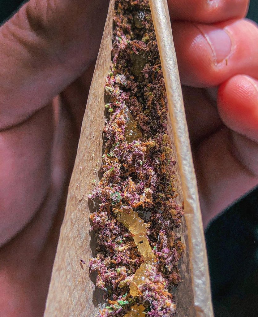 Cannabis Brasil (@canabisbrasil) on Twitter photo 