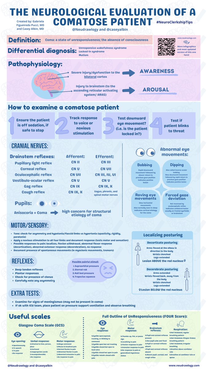 Neudrawlogy (@neudrawlogy) on Twitter photo Another incredible collaboration with the one and only <a href="/caseyalbin/">Casey Albin, MD</a> !
Learning the important aspects of the coma exam is key, so come and take a look at the this new infographic!
#NeuroClerkshipTips #NeuroTwitter #NeuroX #NeurotwitterNetwork #FOAMed #MedEd Another incredible collaboration with the one and only <a href="/caseyalbin/">Casey Albin, MD</a> !
Learning the important aspects of the coma exam is key, so come and take a look at the this new infographic!
#NeuroClerkshipTips #NeuroTwitter #NeuroX #NeurotwitterNetwork #FOAMed #MedEd