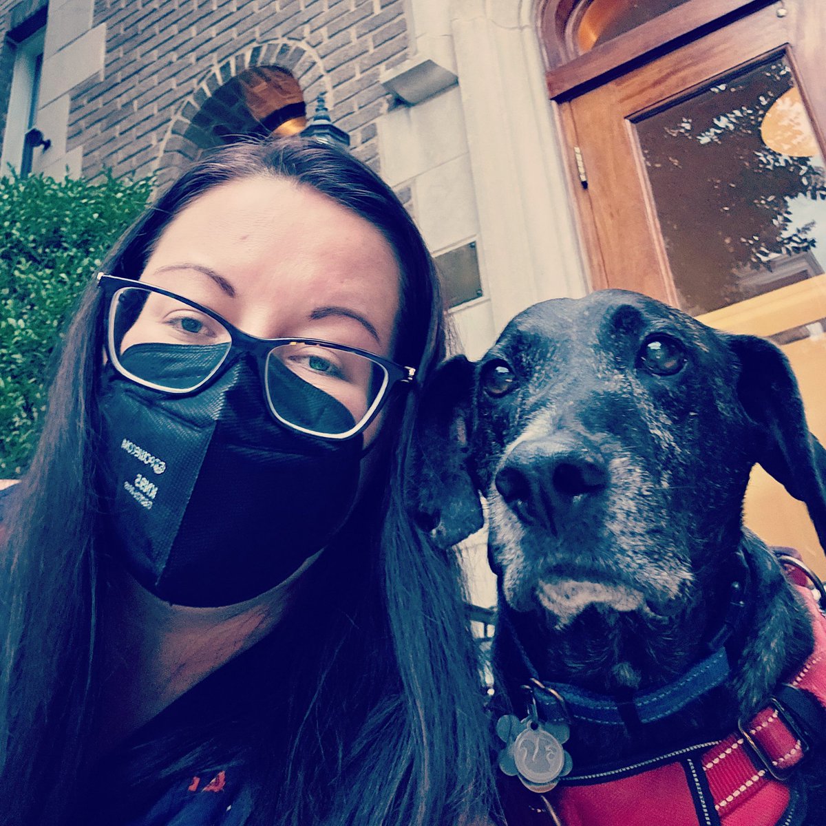 It feels weird to have made it over four years COVID-free, only to now be diagnosed with it. I was unmasked at a <a href="/CapitalOneArena/">Capital One Arena</a> game of 200k people, &amp; I likely picked up the "FLiRT" variant. I'm not feeling great, but I hope it stays mild. (My dog is sad for short walks 😔)